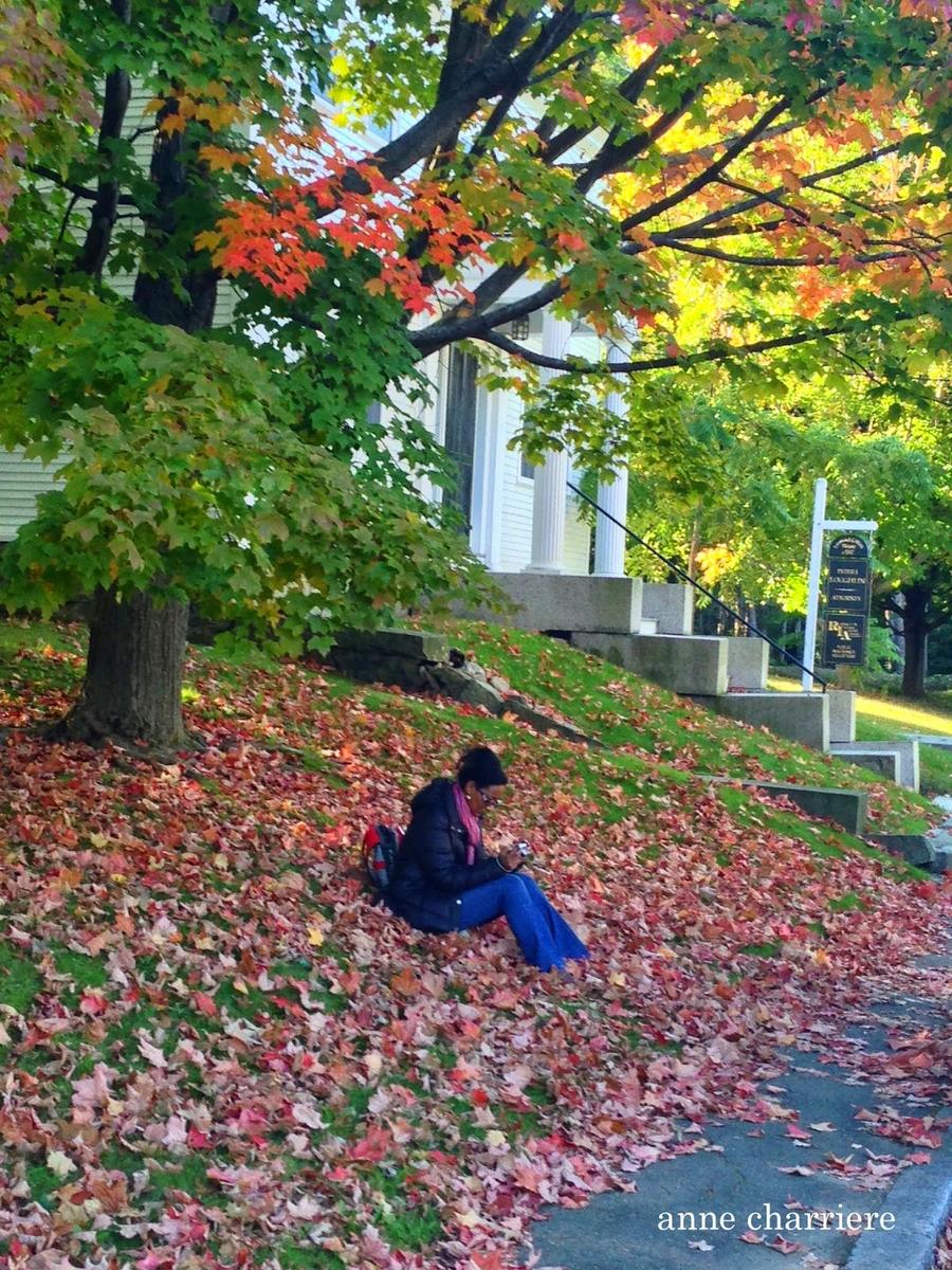 annecharriere.com, cambio de color de las hojas, colores de otoño,
