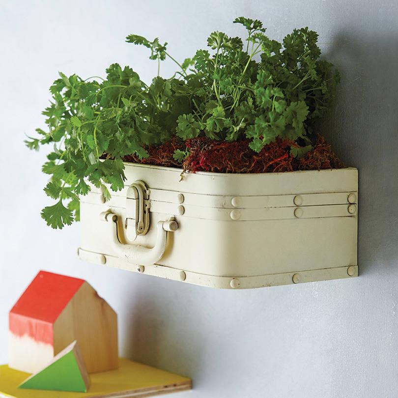 Not_on_the_high_street_22