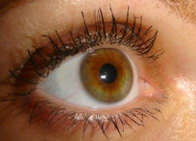 Máscara Volume and Curl de IsaDora