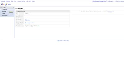 consola de API de Google