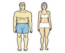 endomorfo
