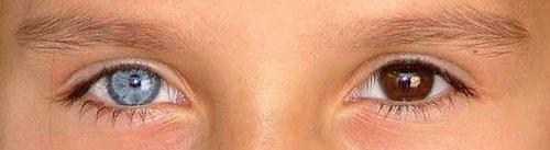 ojo azul ojo marron ¿Por qué tenemos los ojos azules, verdes o marrones?