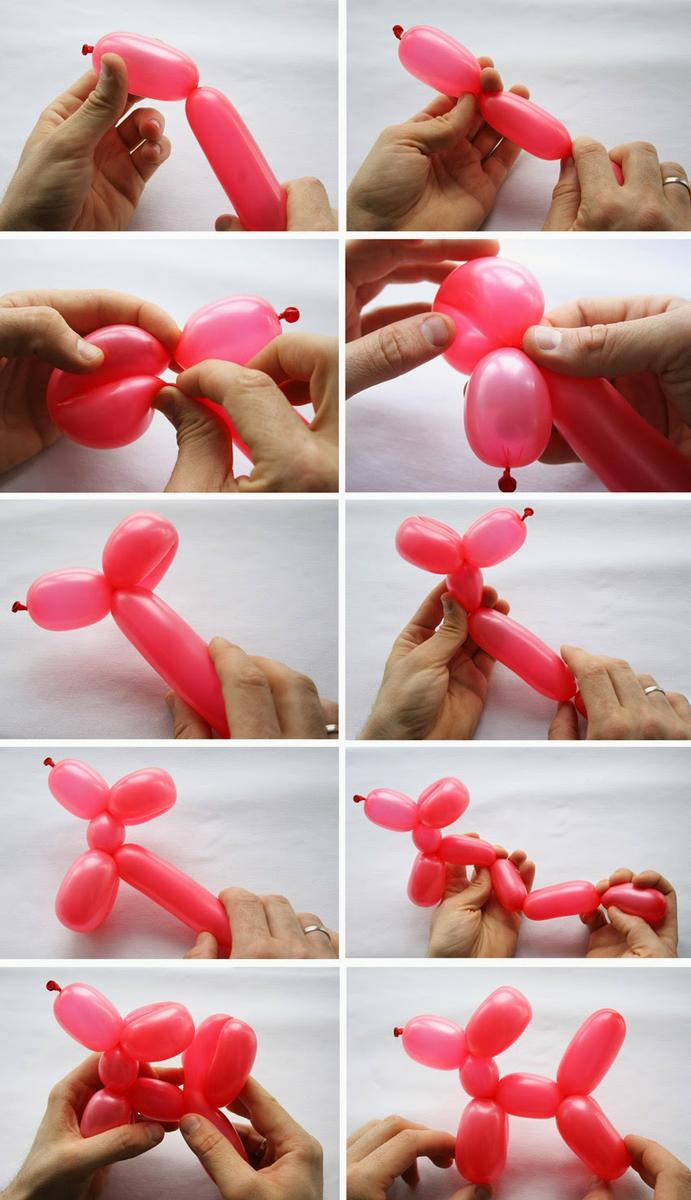 Como hacer un perro de globoflexia paso a paso2