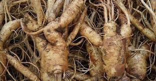 Existe una cura para la diabetes ? Averigua como se cura la diabetes