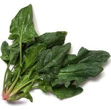 Existe una cura para la diabetes ? Averigua como se cura la diabetes