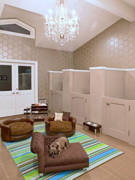 zona para perro en casa