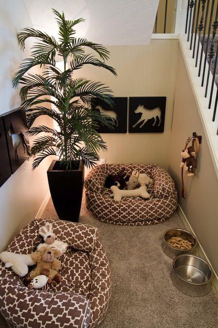 zona para perro en casa