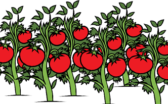 Trucos naturales para la resaca con tomate