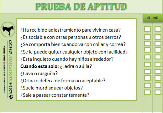 conoce la personalidad del perro