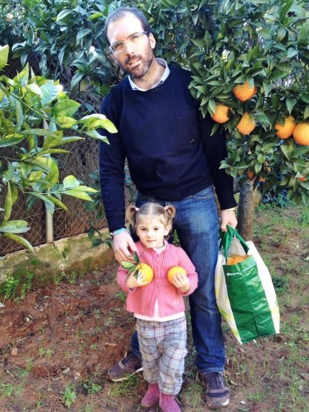 Recolectando naranjas