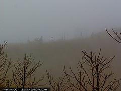 Ruta Los Fortines del Ávila al atardecer