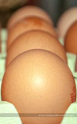 Omega-3 para una salud óptima