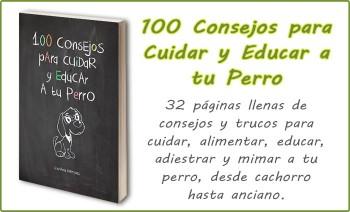 Libro 100 consejos para educar y cuidar a tu perro