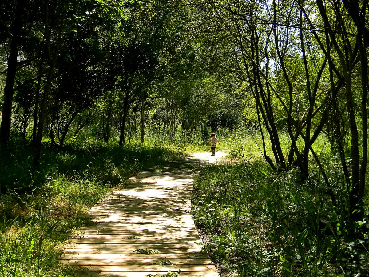 piragua, viajar con niños, excursiones, aljarafe, doñana, guadiamar, tarajal