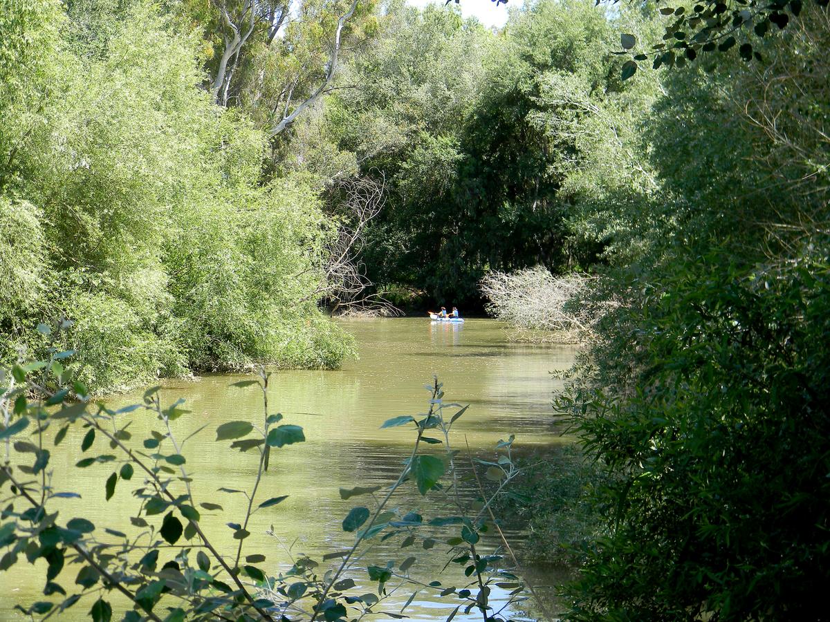 piragua, viajar con niños, excursiones, aljarafe, doñana, guadiamar