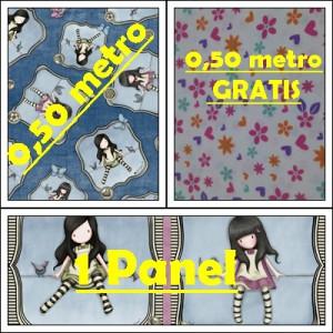 Gorjus + panel 1 final