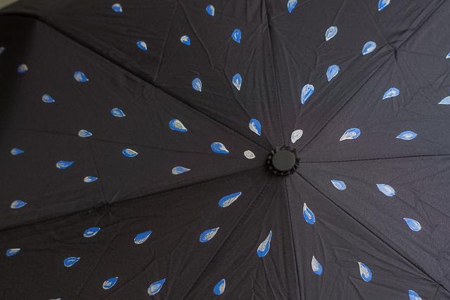todas las gotas paraguas pintado pangala