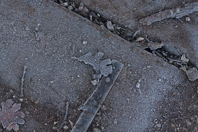 hayedomontejo_4_ebom