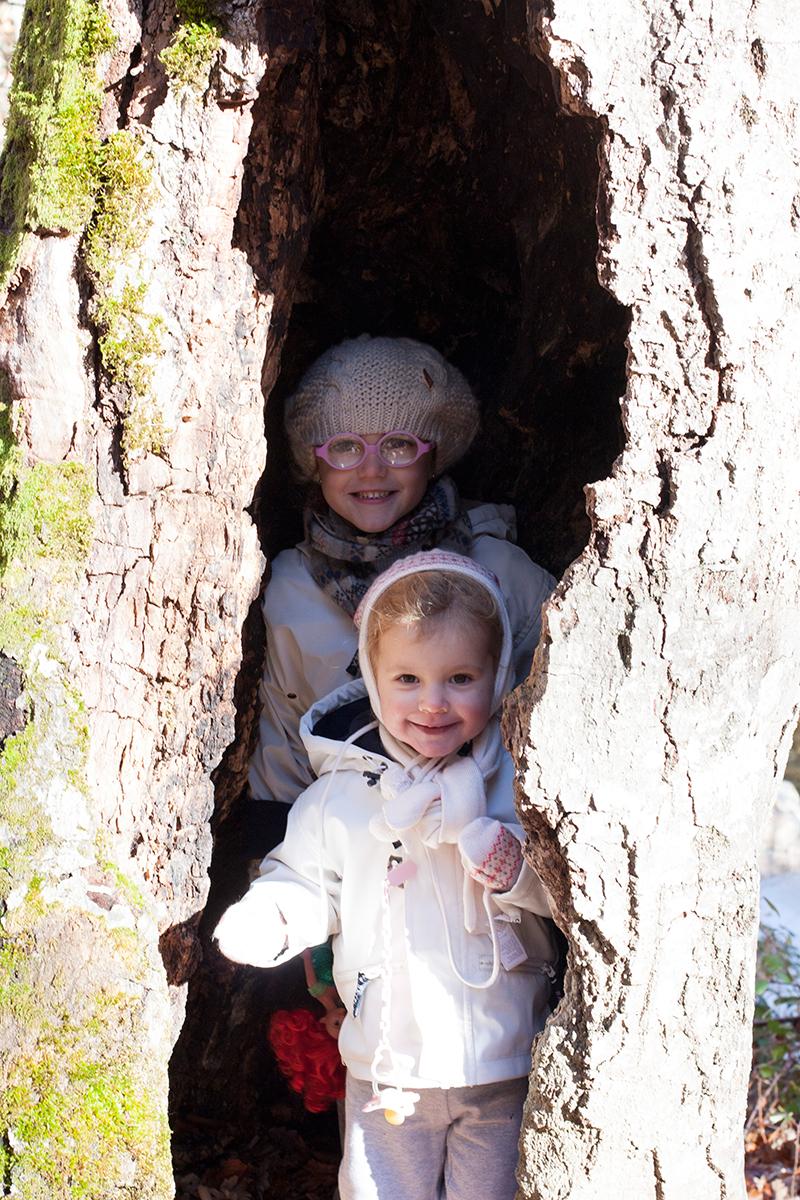 hayedomontejo_8_ebom