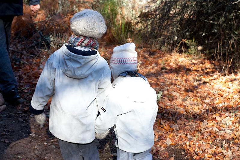 hayedomontejo_9_ebom