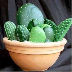 maceta_con_plantas_de_piedra_featured