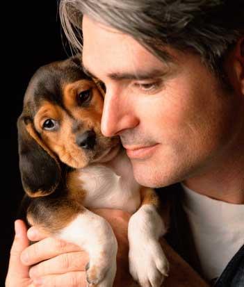 persona sosteniendo a cachorro