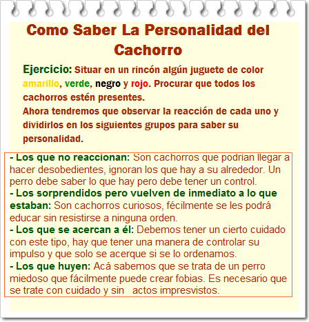 testpersonalidadnew