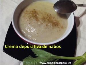 crema depurativa de nabos (2)