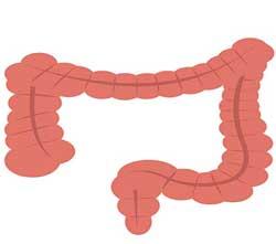 la apnea del sueño y el aumento de peso