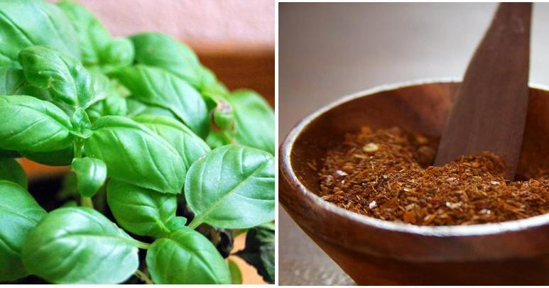 Cómo hacer una cataplasma de hierbas frescas | Plantas