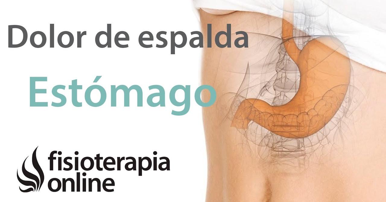 Relación del estómago y dolor de espalda | Salud