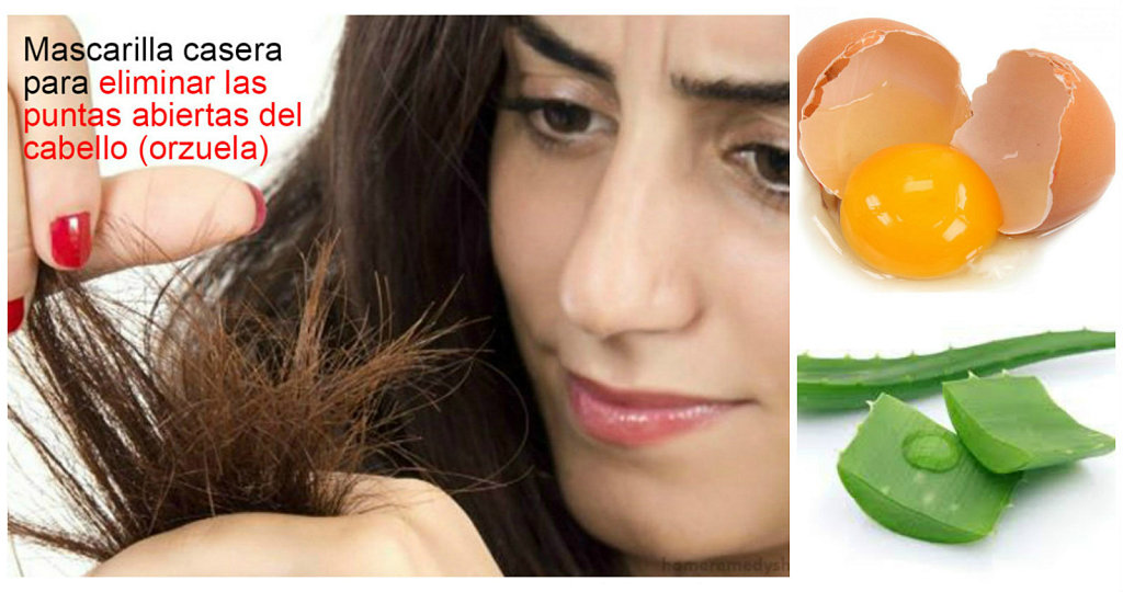 Mascarilla huevo y aloe para eliminar puntas abiertas del cabello | Belleza