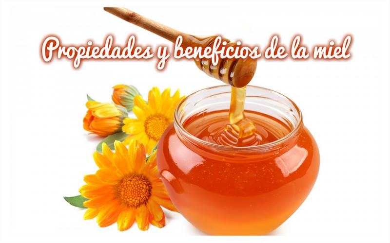 Propiedades Y Beneficios De La Miel Salud 9359