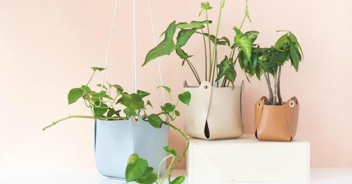 macetero alto | facilisimo.com