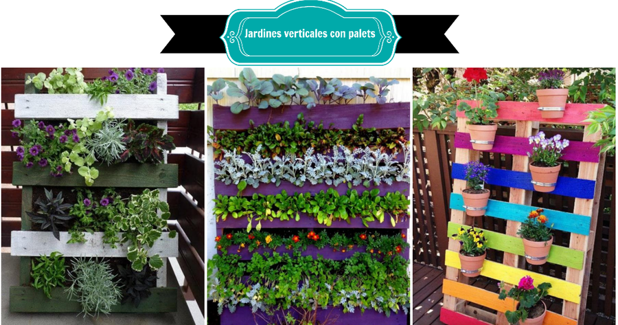 Jardines verticales con | Plantas