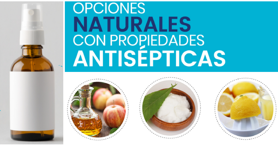 Los 7 mejores antisépticos naturales Salud