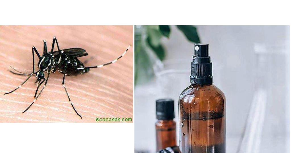 Cómo hacer repelente para mosquitos y otros insectos casero y natural