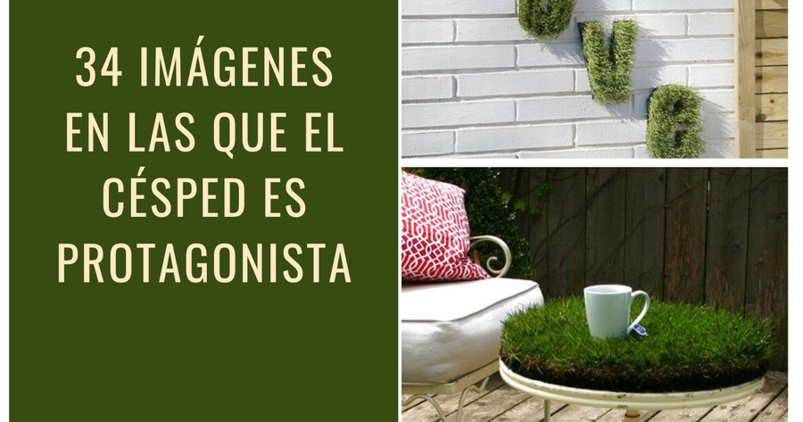 34 imágenes en las que el césped es el protagonista | Plantas