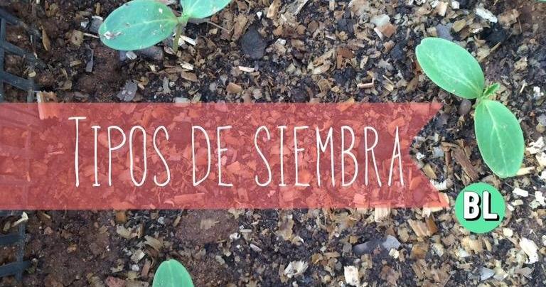 Tipos De Siembra Plantas