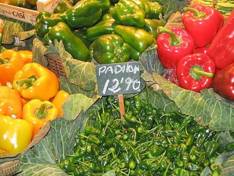 Pimientos