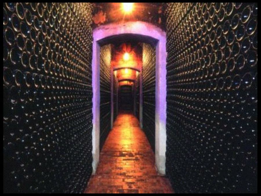 bodega