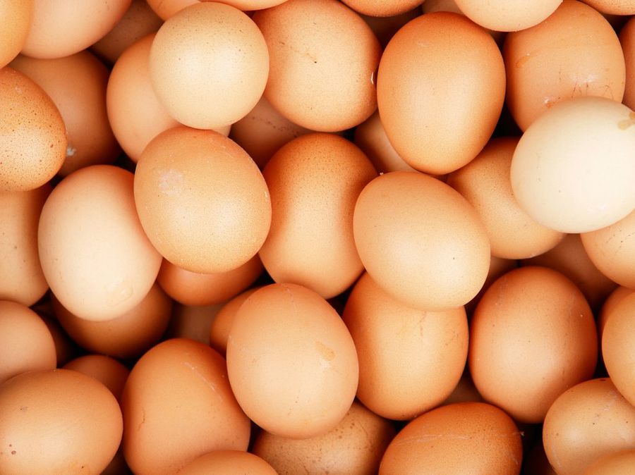 huevos