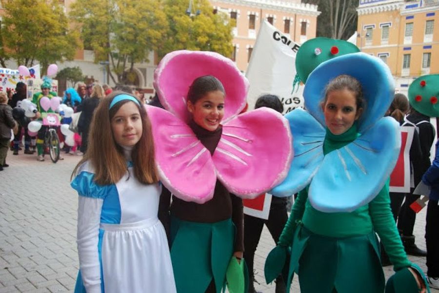 Imagen 14