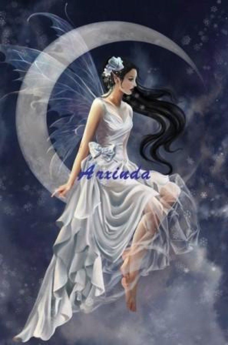Imagen 5