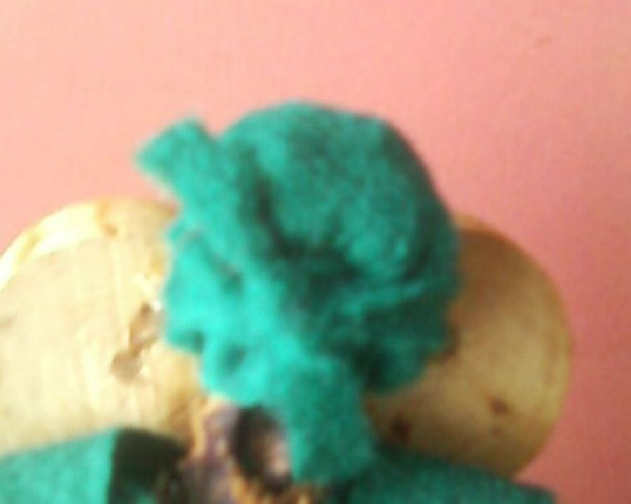 ENTRE MANOS SEGUNDA PARTE