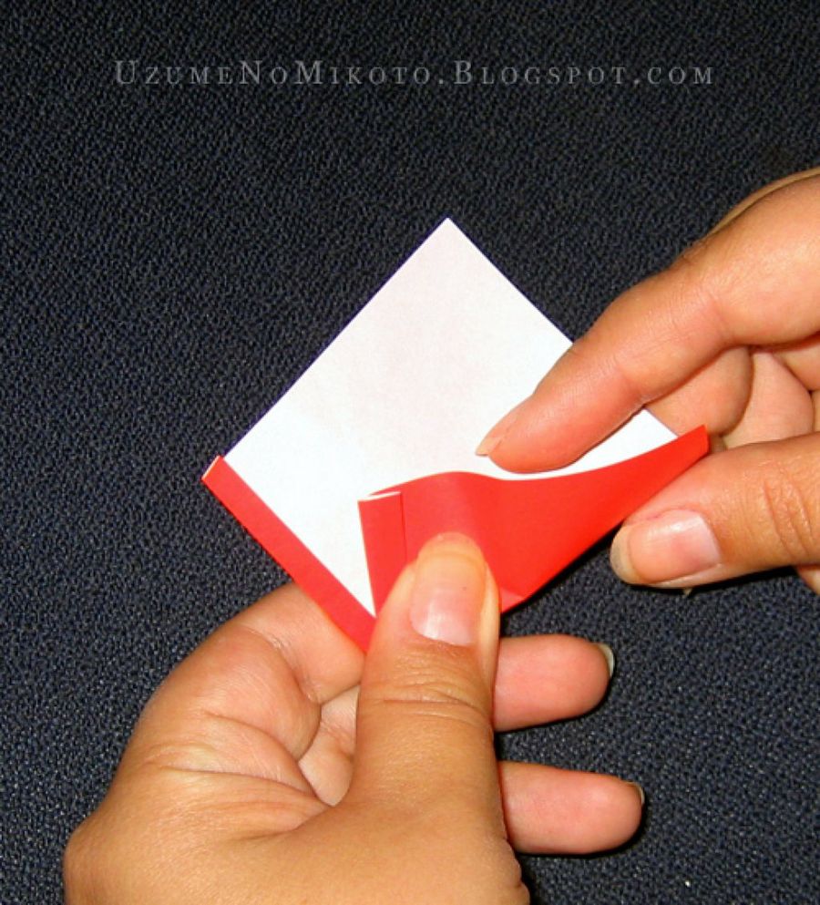 Imagen 6