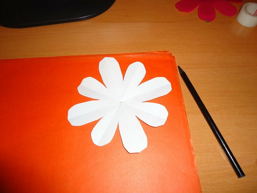 Imagen 2