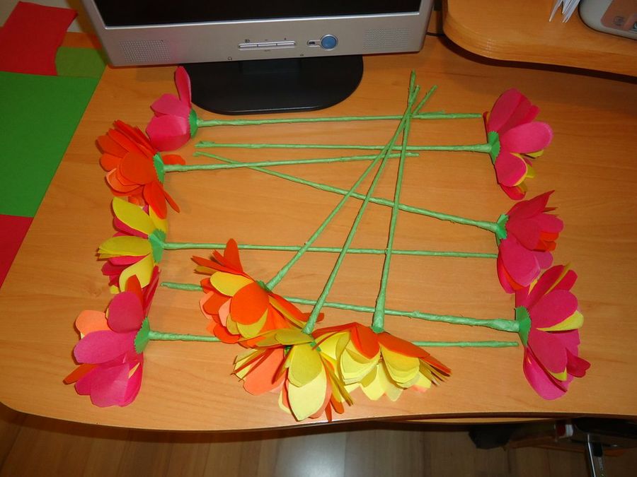 Imagen 6
