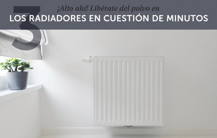 Imagen 8