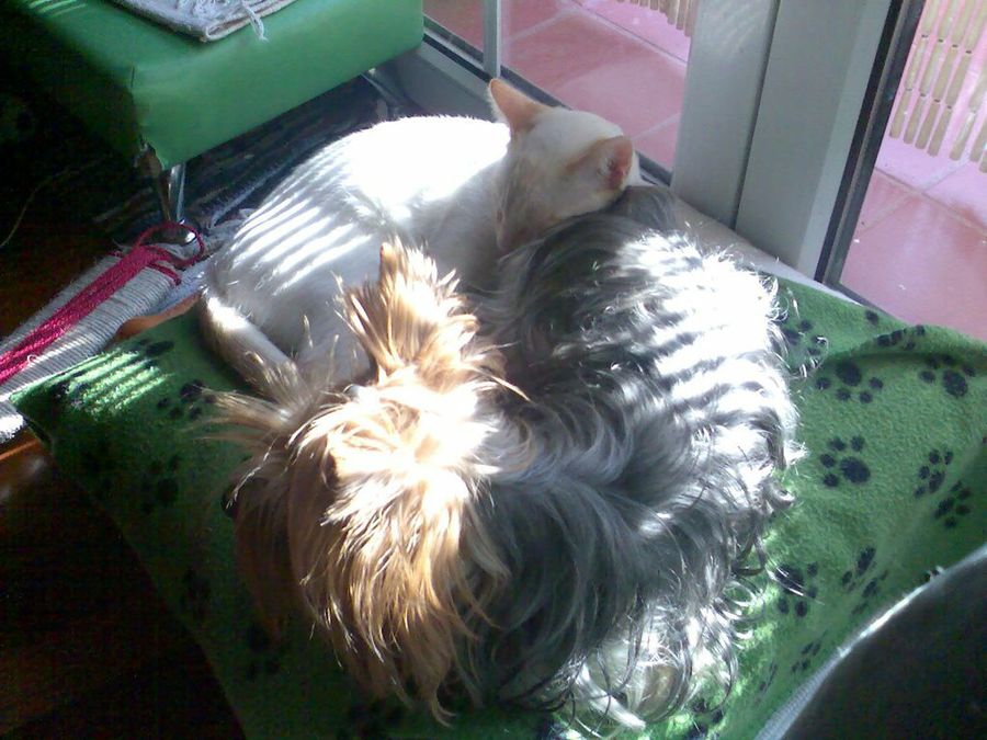 Imagen 3